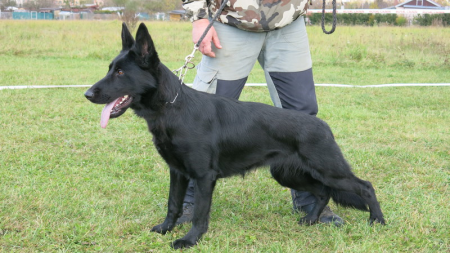 14. Maroš Garba a Gozilla Hanmark